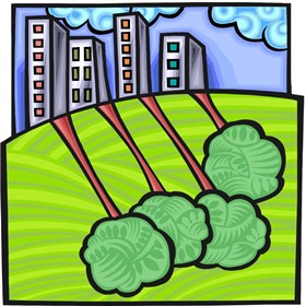 Personal Development: Personal Information
